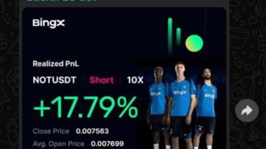 profit and loss