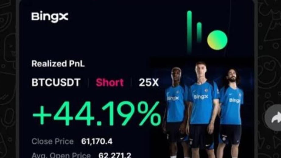 profit and loss
