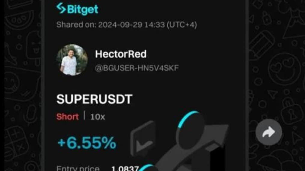 profit and loss