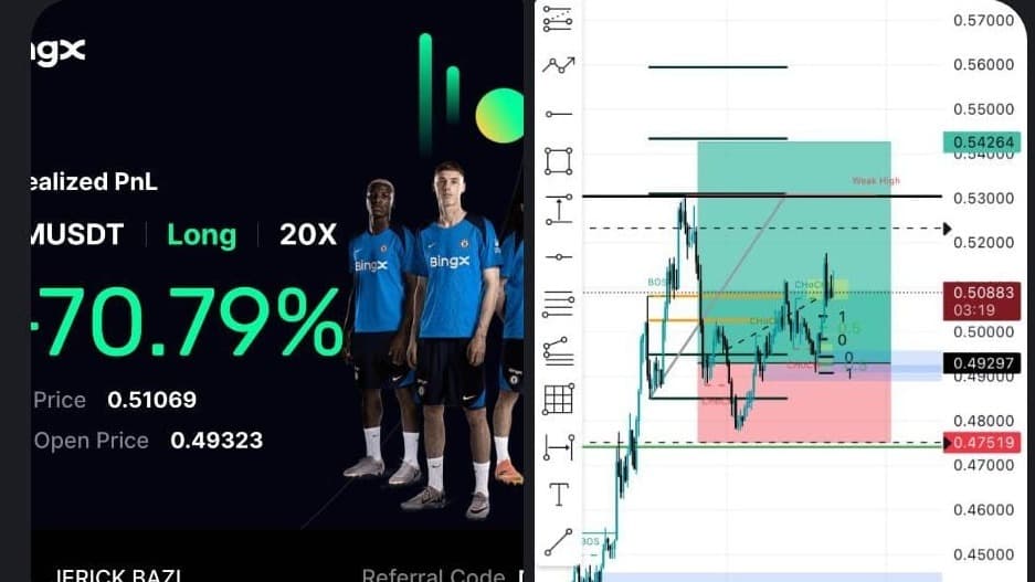 profit and loss